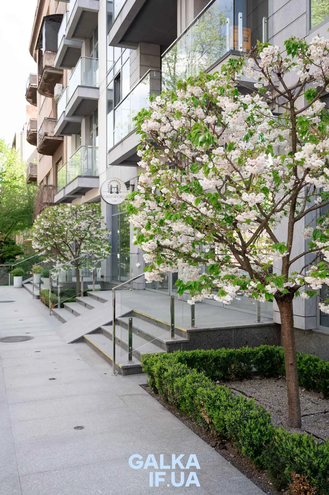 Сучасна будівля з квітучими деревами навесні