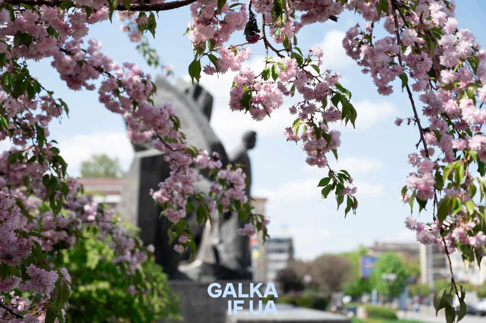 Весняні сакури біля пам’ятника в місті