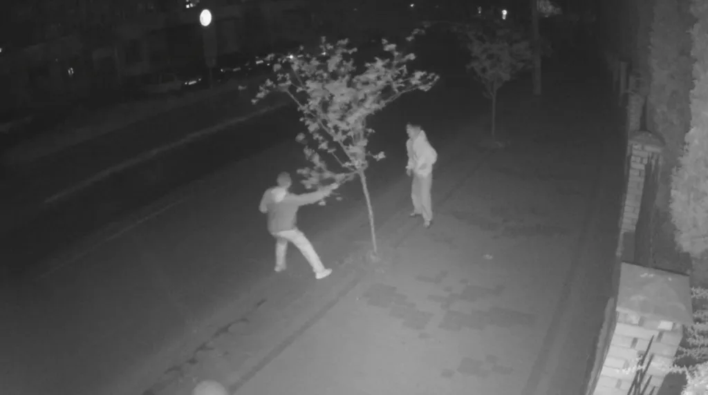 Двоє чоловіків на вулиці вночі біля дерева