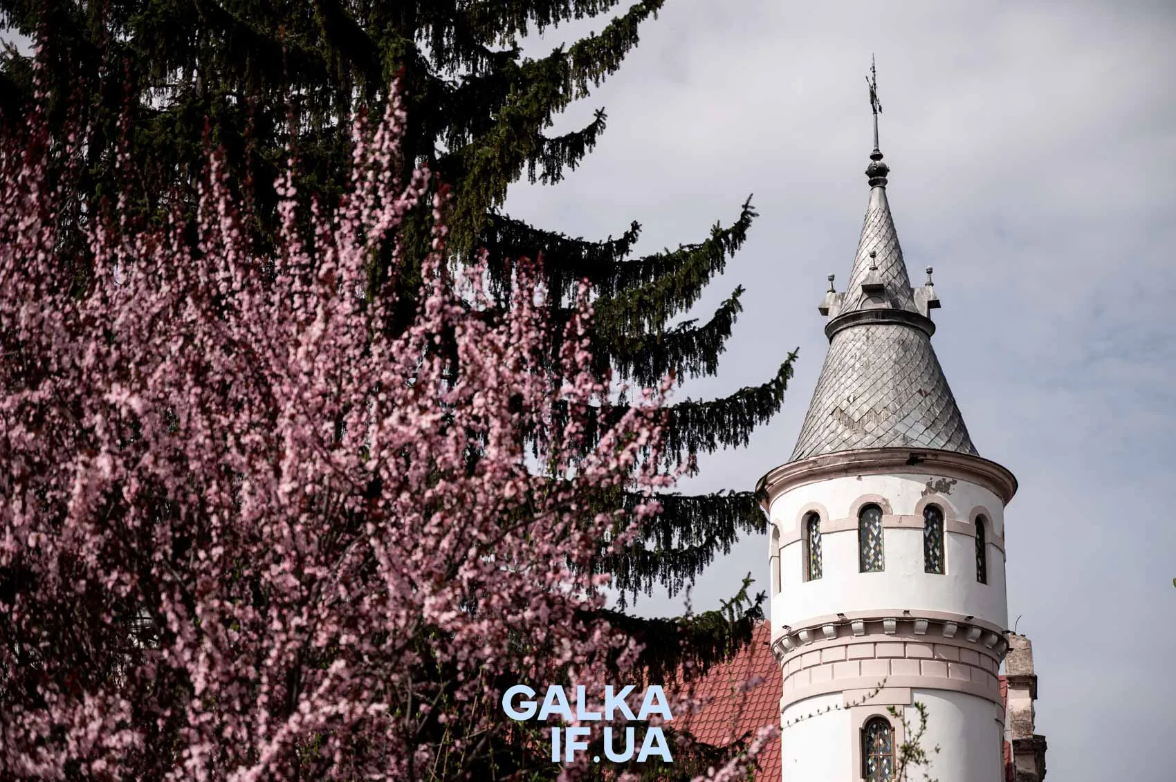 Весняний замок серед цвітіння сакури