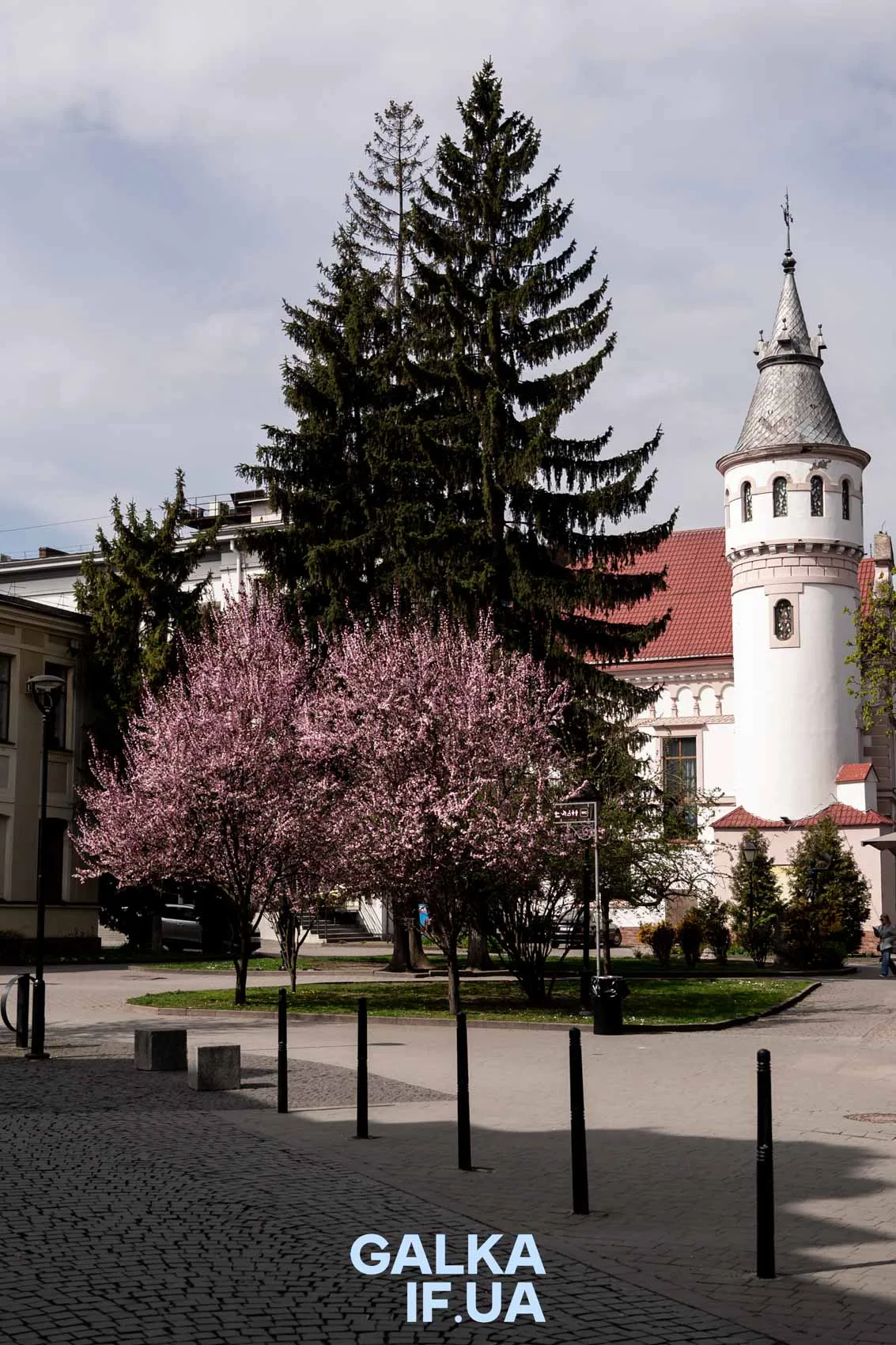 Весняні дерева перед старовинною баштою Івано-Франківська