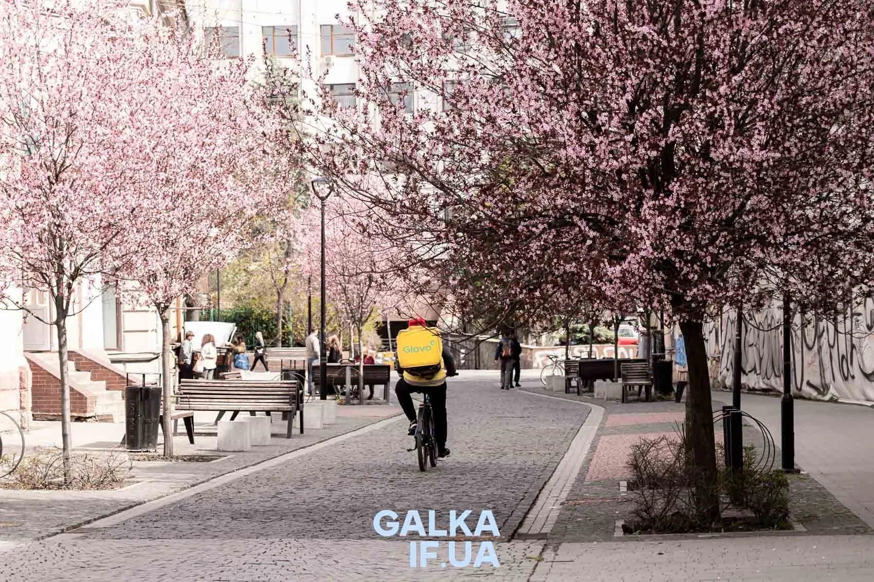 Кур'єр Glovo їде вулицею з рожевими деревами