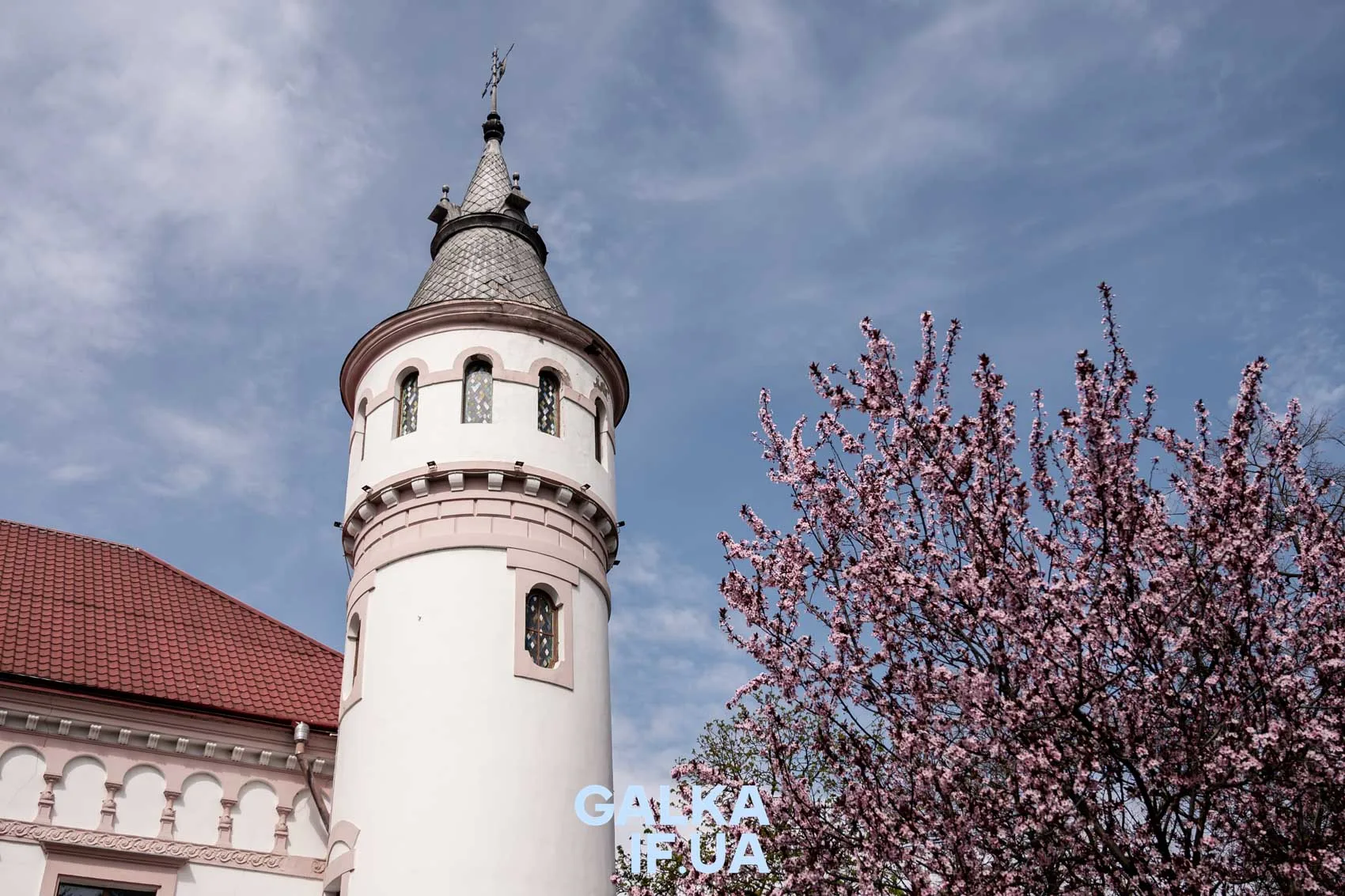 Башта замку поруч рожевого цвіту весною