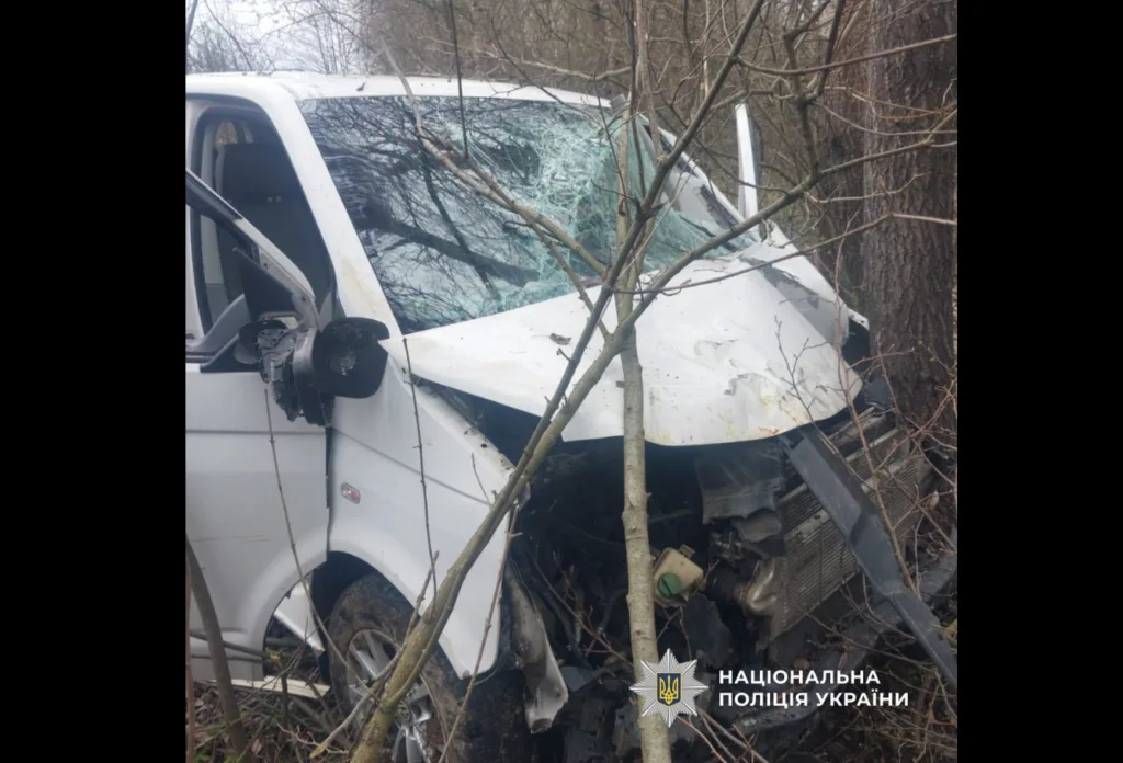 ДТП, білий мікроавтобус в'їхав у дерево