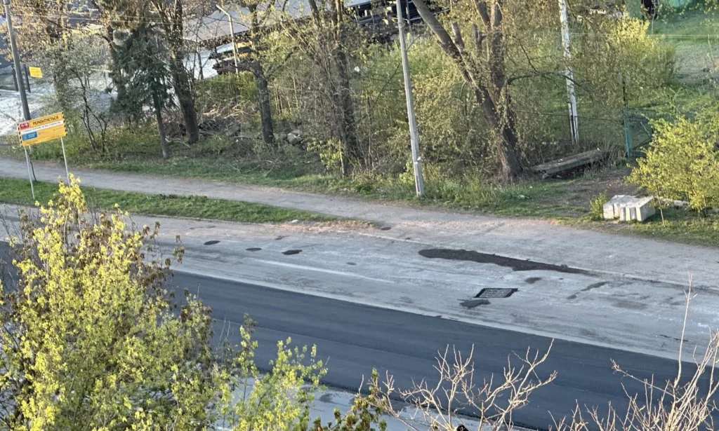 Дорога поруч із деревами навесні