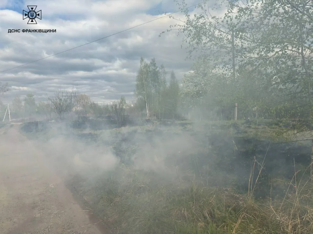 Дим після пожежі на узбіччі біля лісу