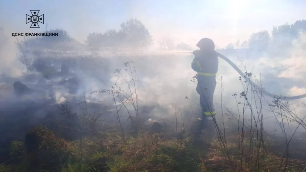 Пожежник гасить лісову пожежу у диму