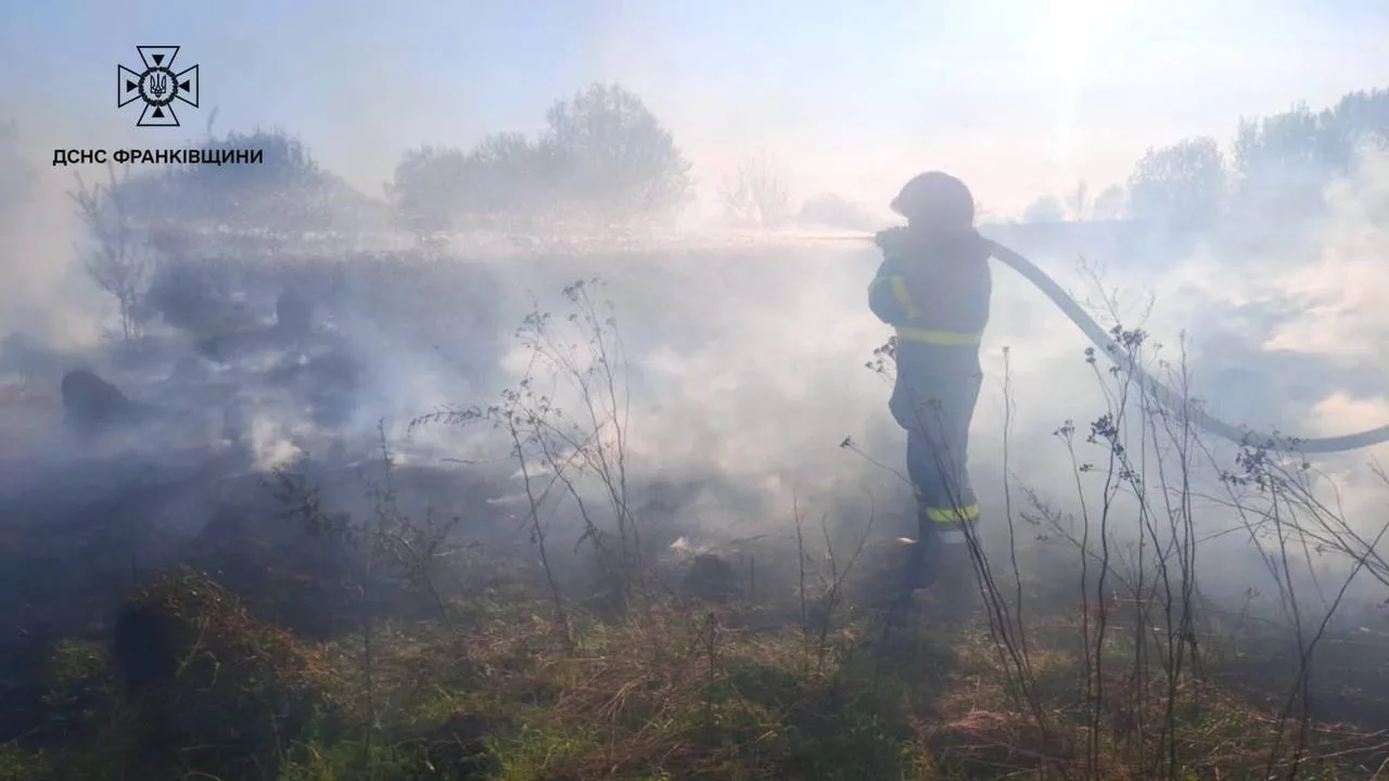 Пожежник гасить лісову пожежу у диму