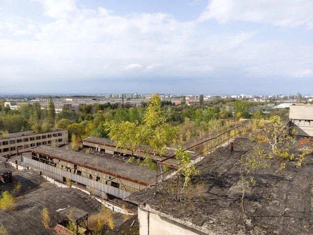 Занедбані будівлі серед зелені міського краєвиду