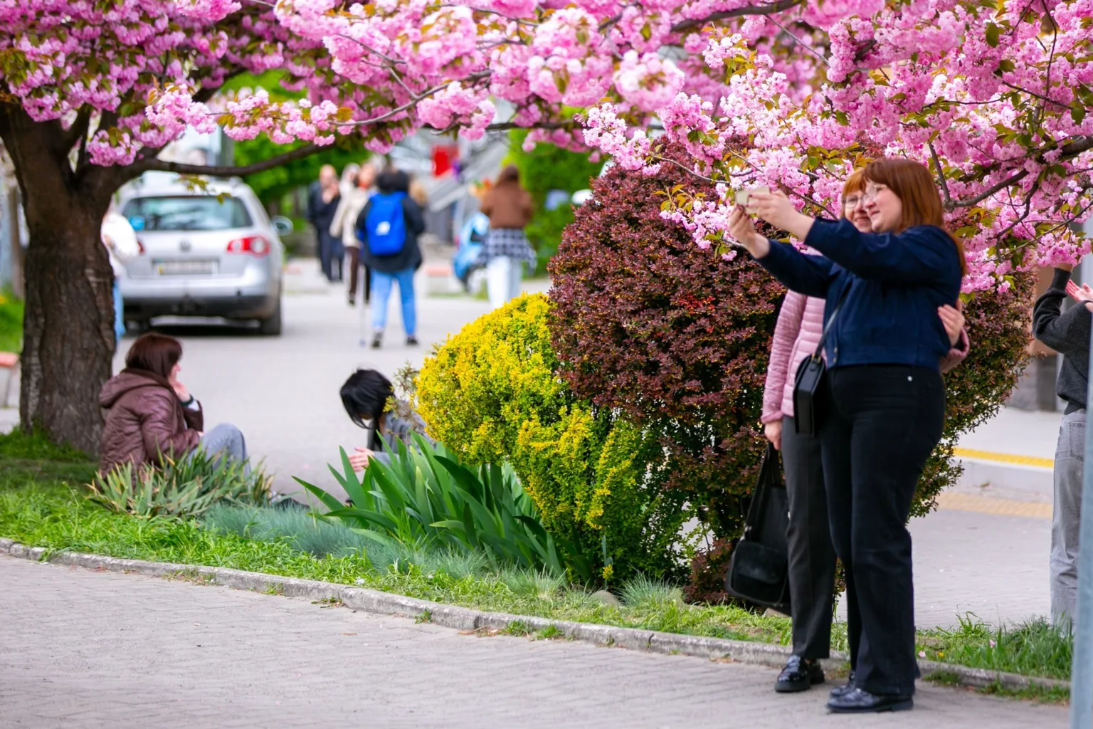 Люди фотографуються під цвітучою сакурою на вулиці