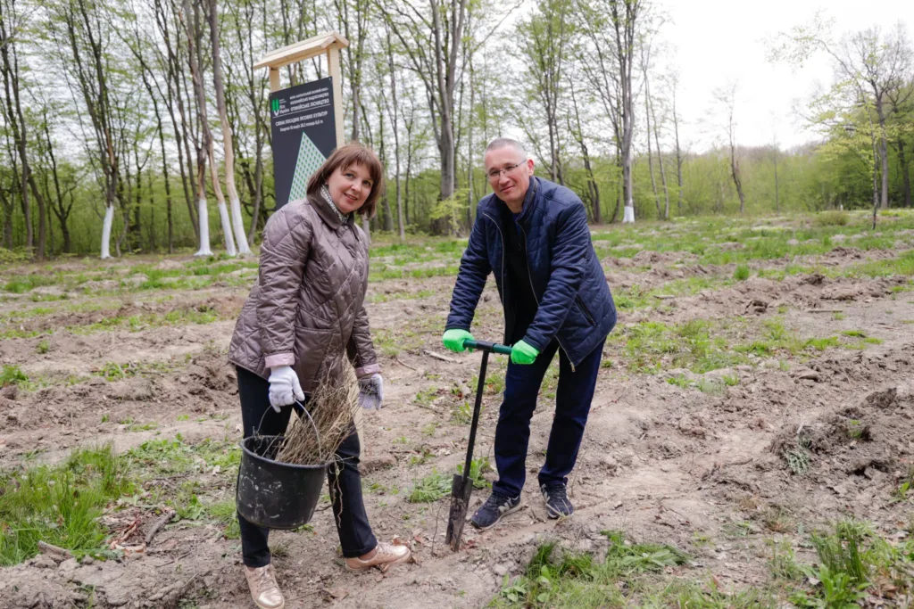 Люди саджають дерева у весняному лісі
