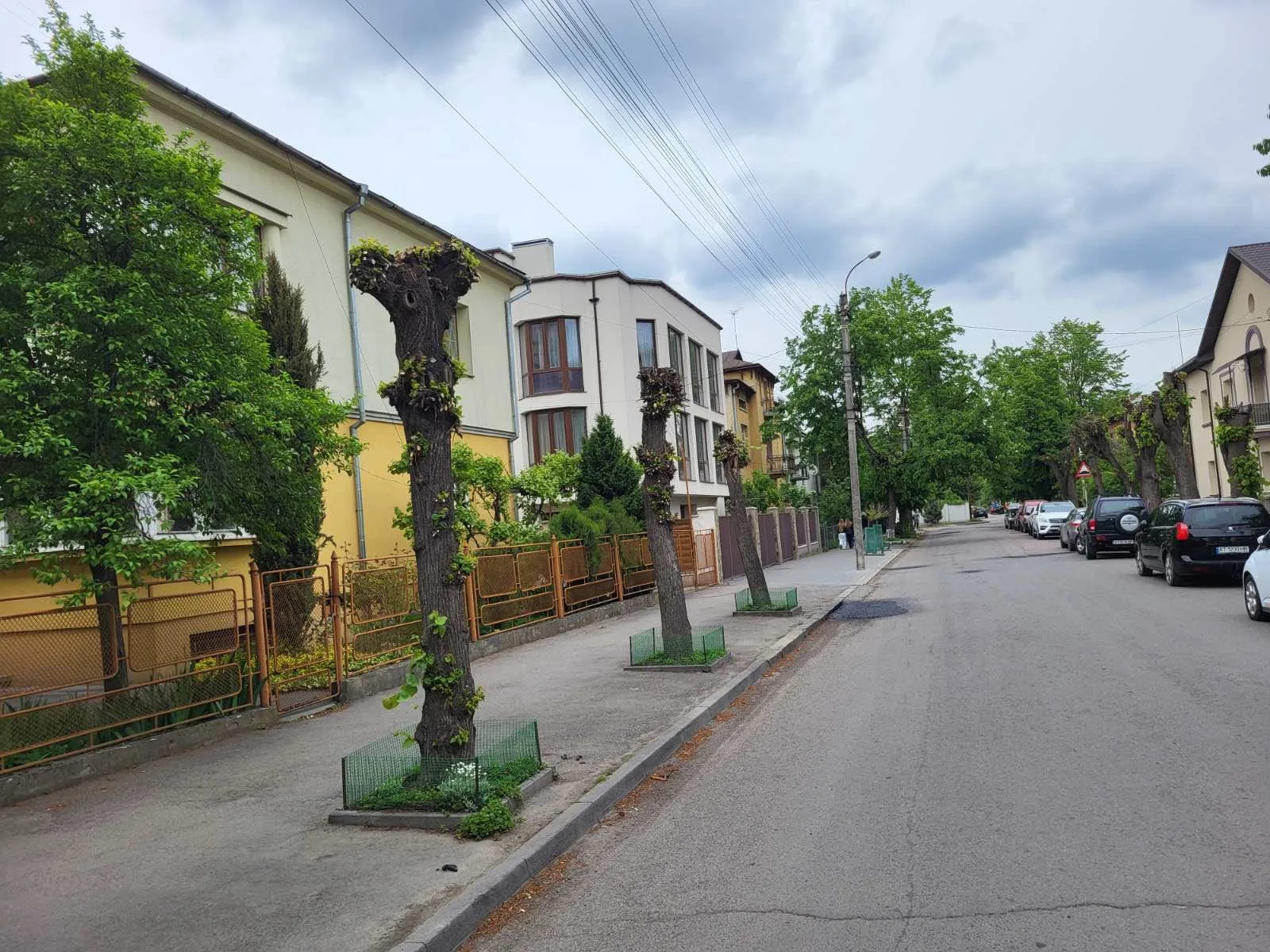 Житлова вулиця з обрізаними деревами і припаркованими авто