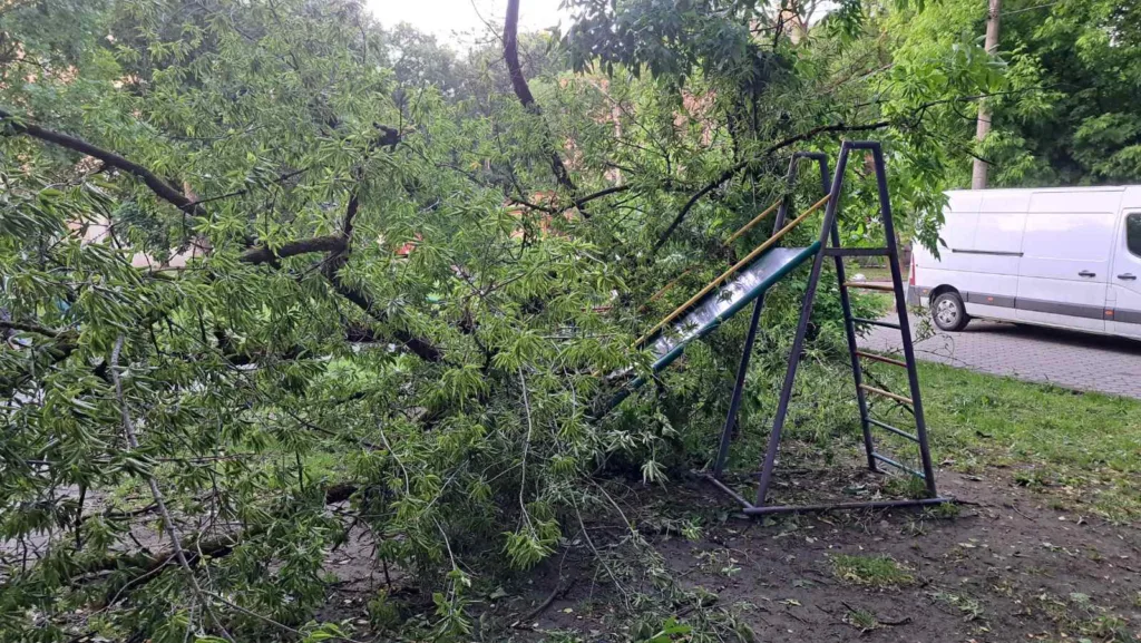 Повале дерево впало на дитячу гірку у дворі
