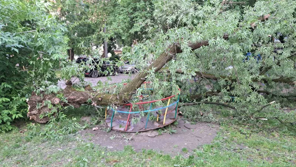 Повалене дерево впало на дитячу карусель у парку