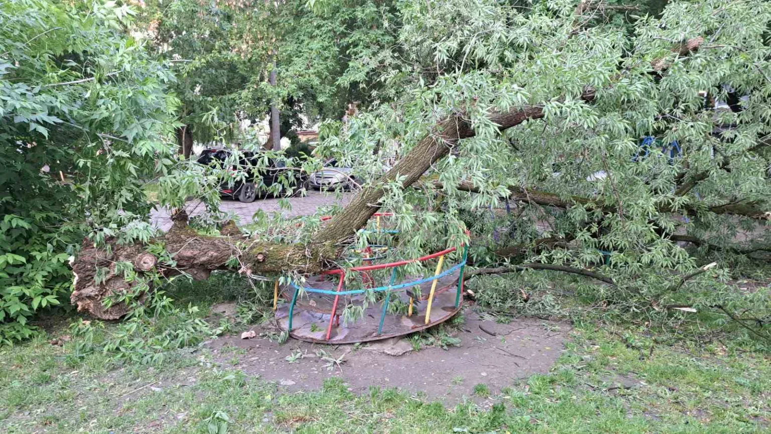 Повалене дерево впало на дитячу карусель у парку
