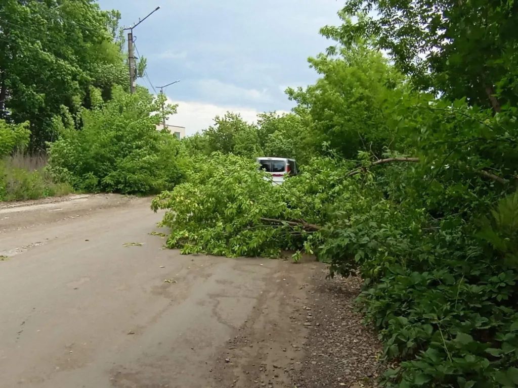Дерево впало на сільську дорогу, перегородивши рух