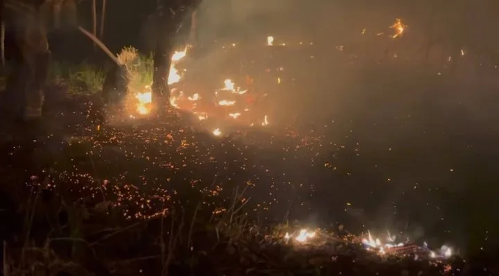 Пожежники гасять лісову пожежу вночі