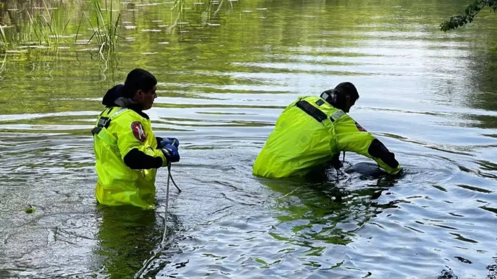 Рятувальники шукають у воді на річці
