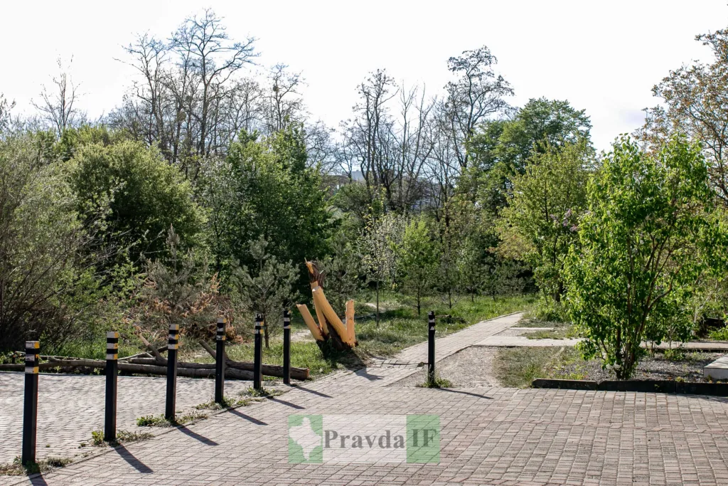 Парк із зеленими деревами та доріжками