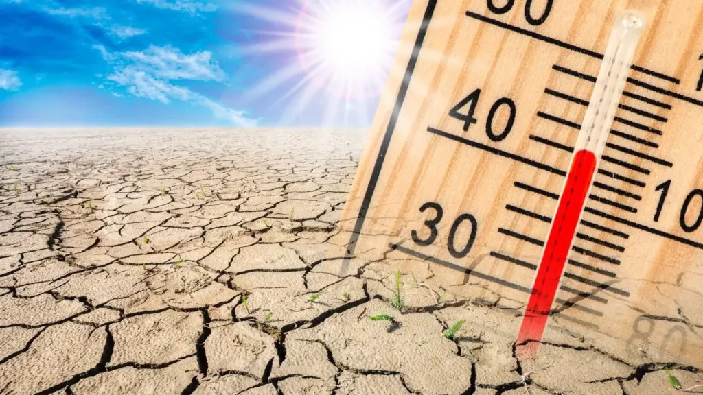 Аномальна спека до +48 °C: синоптики попередили про затяжну хвилю