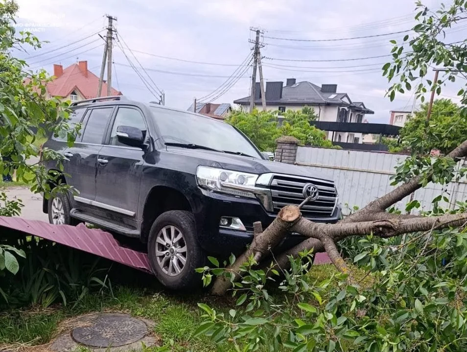 Позашляховик на поваленому дереві біля паркану
