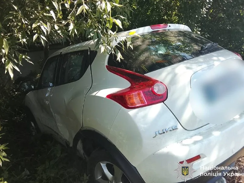 Білий автомобіль в кущах після аварії