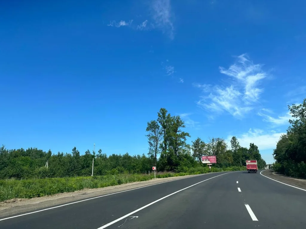 Асфальтова дорога серед зелених дерев під синім небом