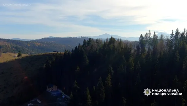 Карпатські гори та ліс з будинком