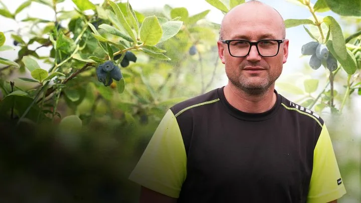 Чоловік стоїть серед кущів чорниці