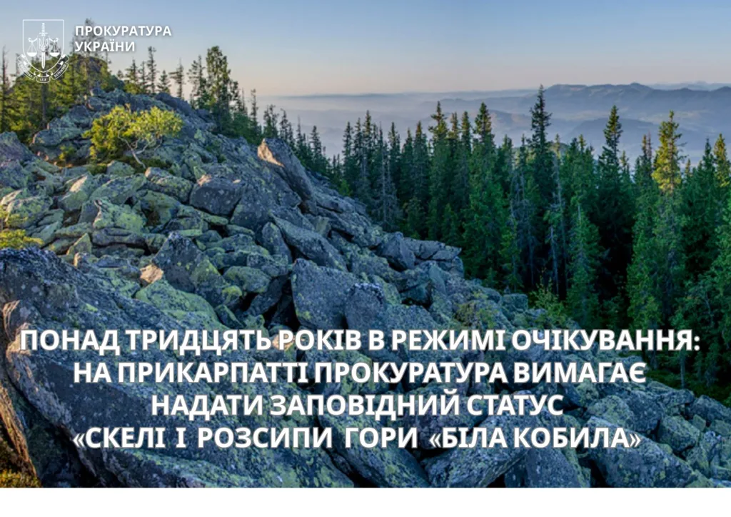 Скелі і ліси Прикарпаття, гора Біла Кобила