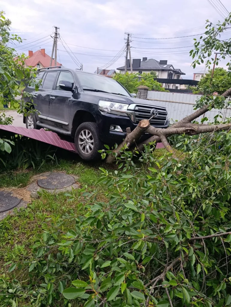 Позашляховик на впавшому дереві у дворі