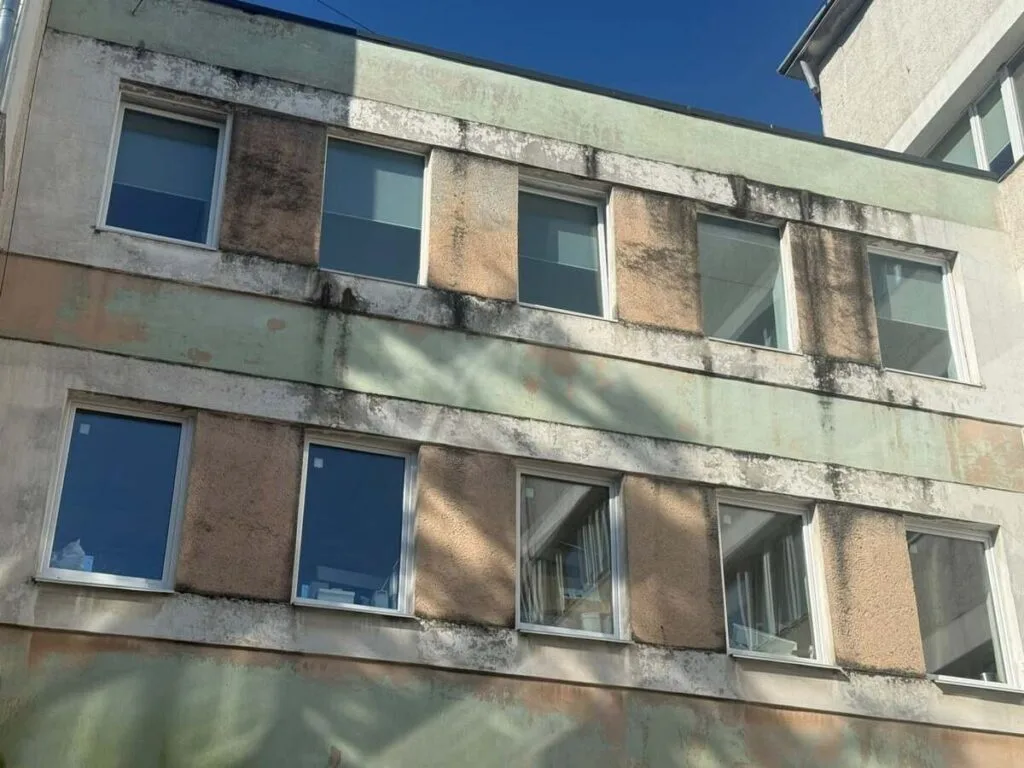 Стара будівля з пліснявою на фасаді