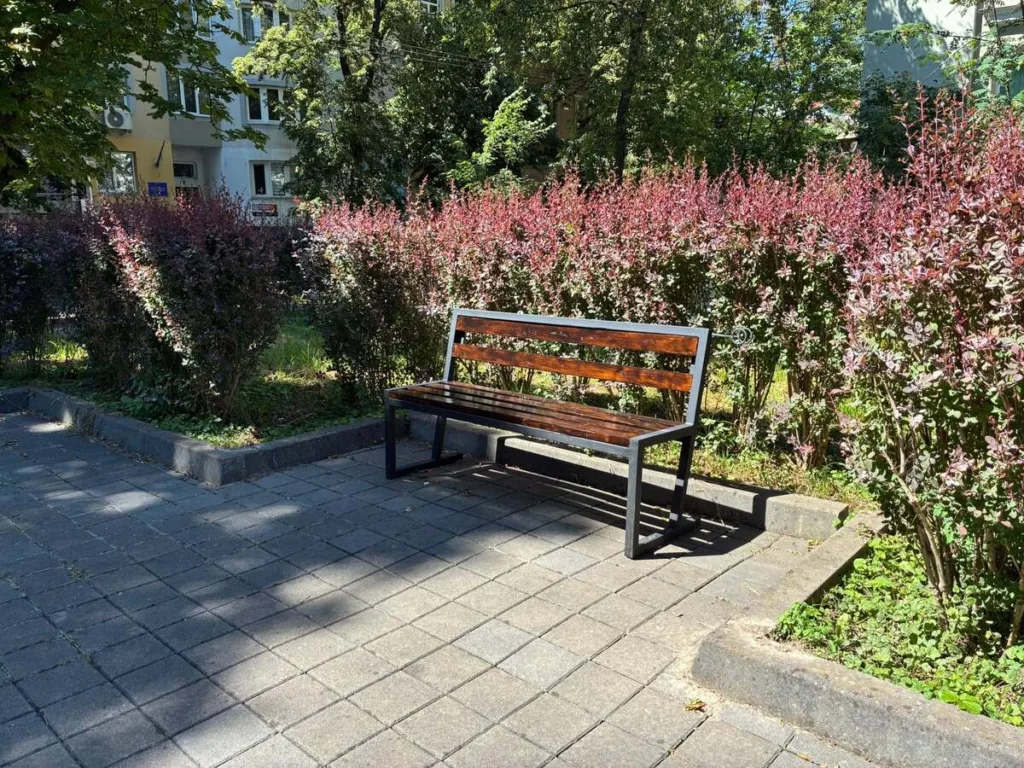 Порожня лавка в парку серед зелених кущів