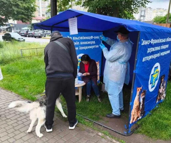 Ветеринарна палатка для щеплення собак у місті