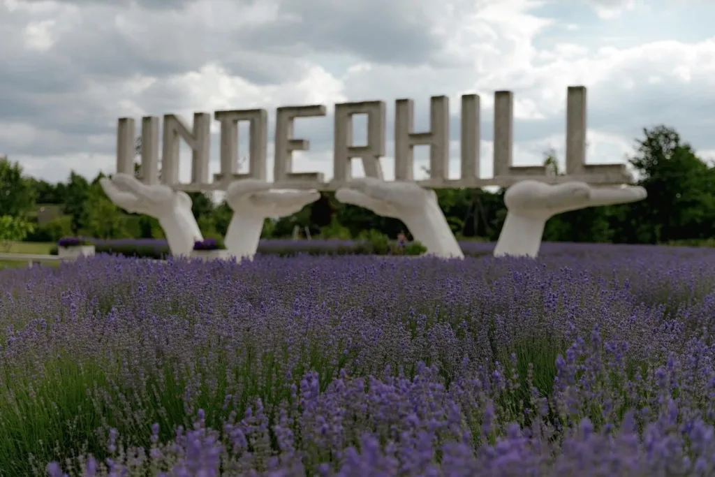 Скульптура UNDERHILL серед лаванди на природі