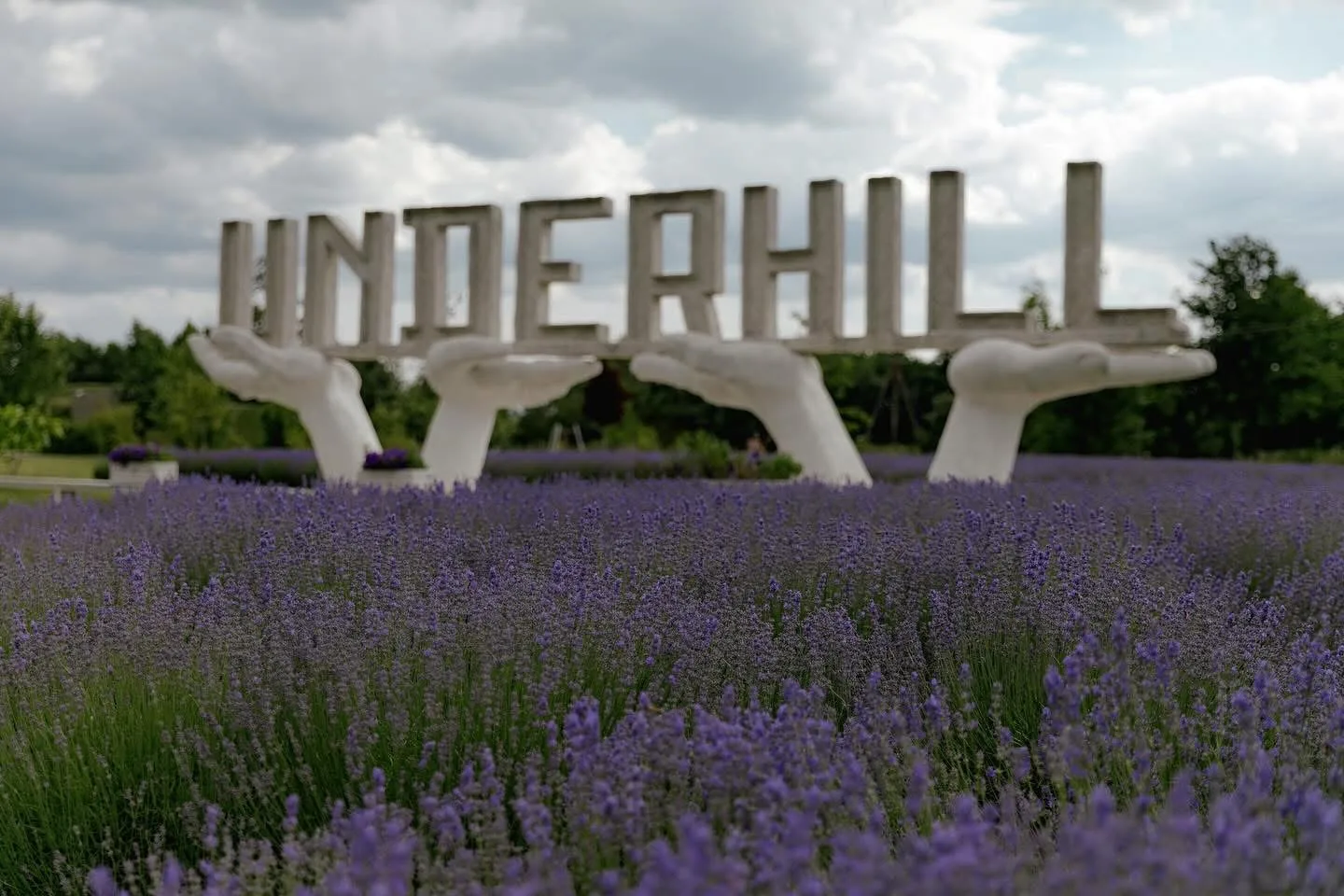 Скульптура UNDERHILL серед лаванди на природі