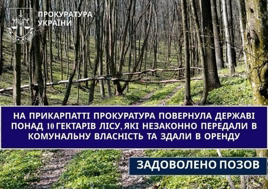Прокуратура повернула державі ліс у Карпатах