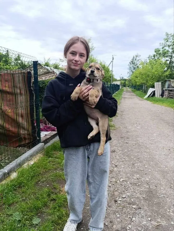 Дівчина тримає цуценя на заміській дорозі