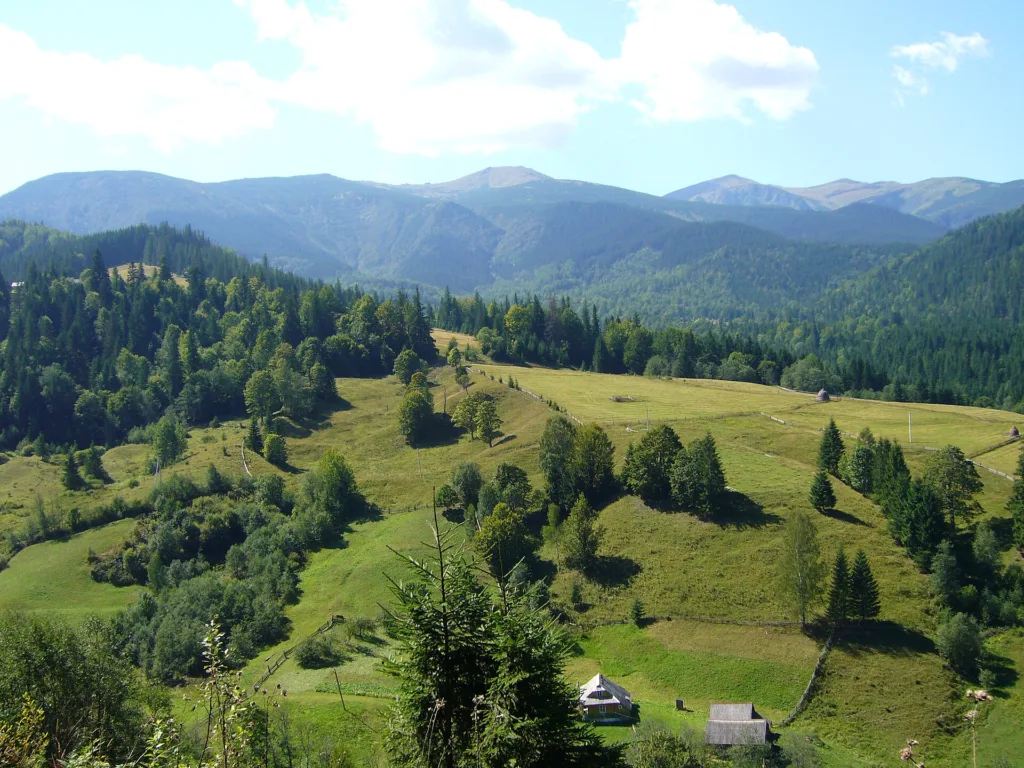 Карпатські гори з зеленими луками та лісами
