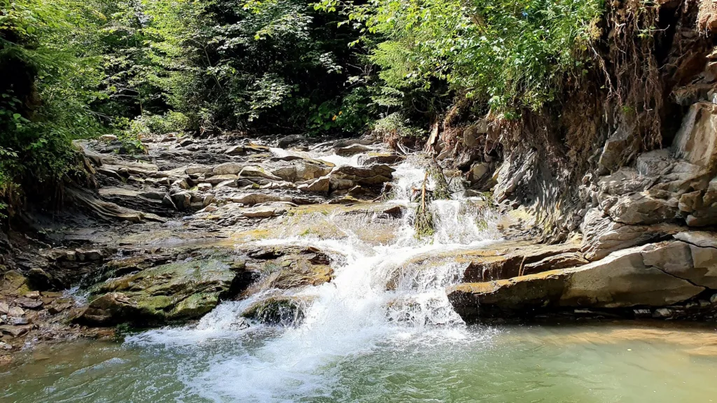 Гірський водоспад серед зелених лісових скель