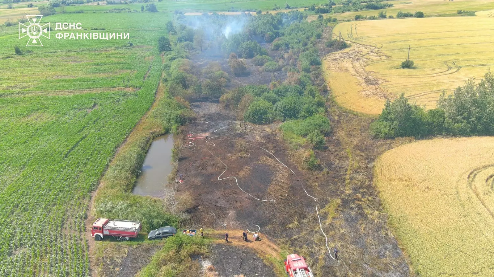Пожежники гасять лісову пожежу на полі