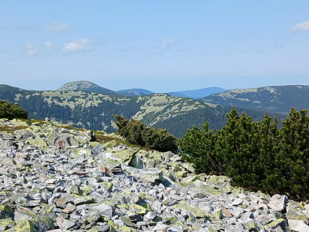 Карпатські гори з камінням і зеленими схилами