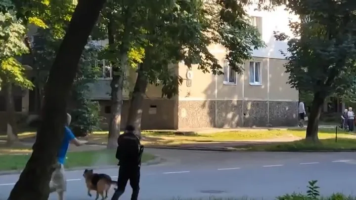 Собака, поліція, Калуш Собака, поліція, Калуш