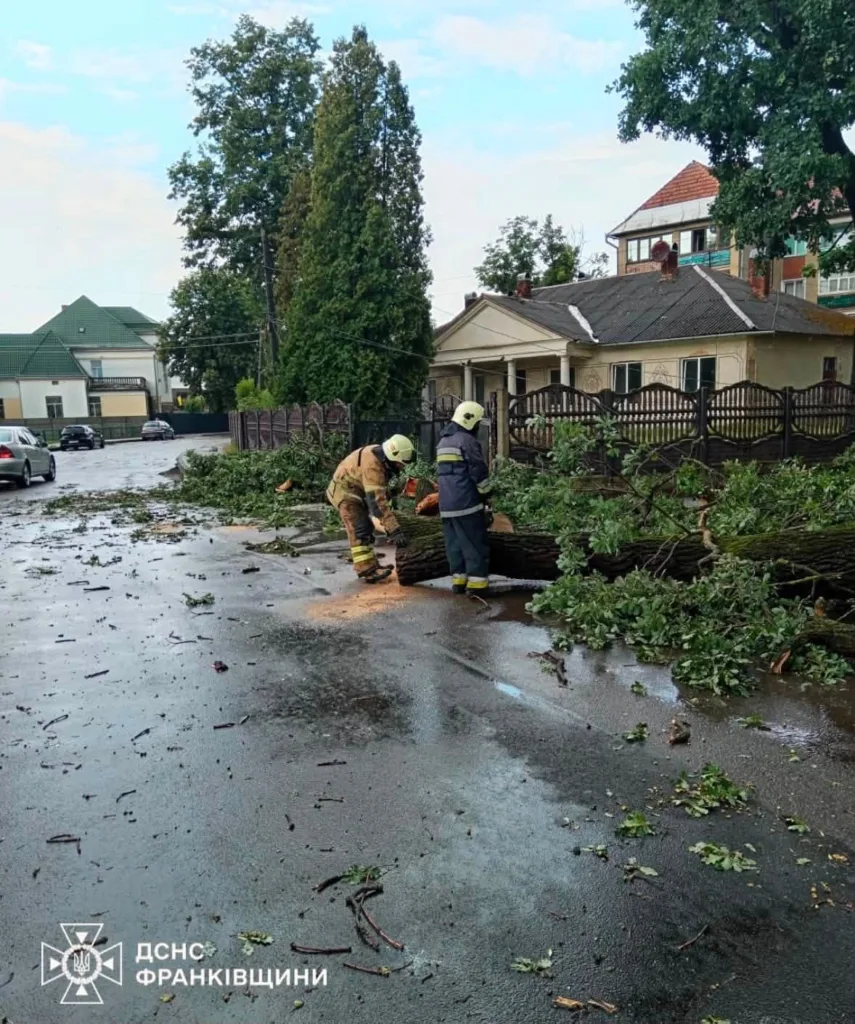 Рятувальники розпилюють повалене дерево після бурі