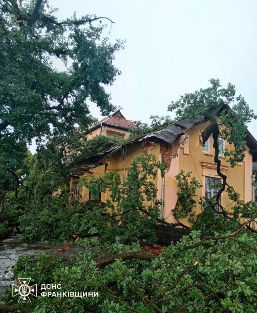 Повалене дерево пошкодило будинок після буревію