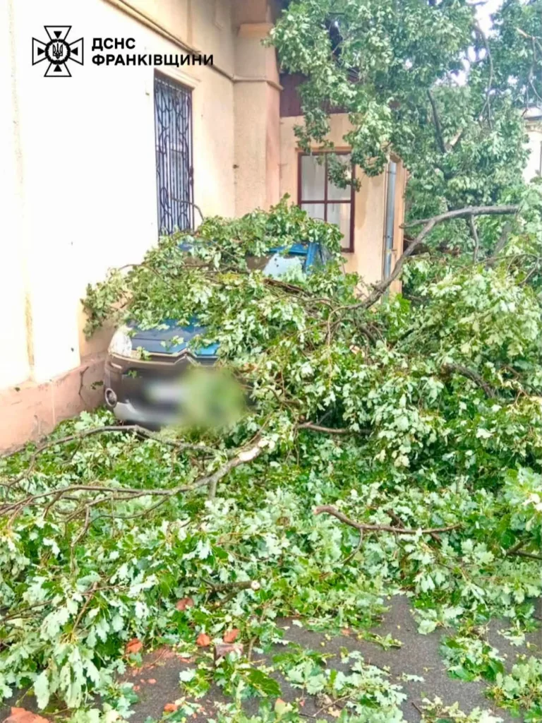 Дерево впало на автомобіль біля будинку