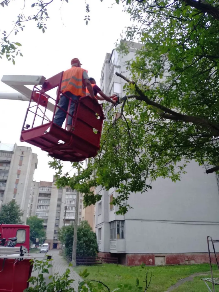 Працівники обрізають гілки дерев біля будинку