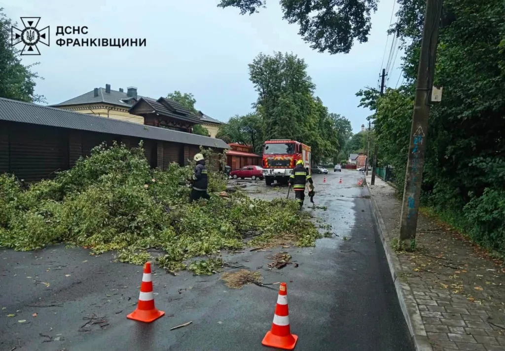 Рятувальники прибирають повалене дерево з дороги