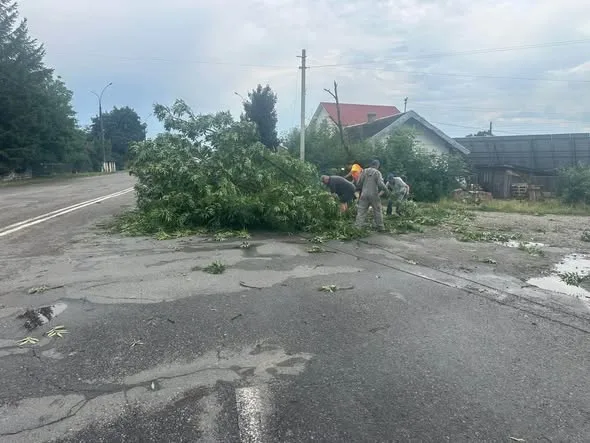 Робітники прибирають повалене дерево з дороги