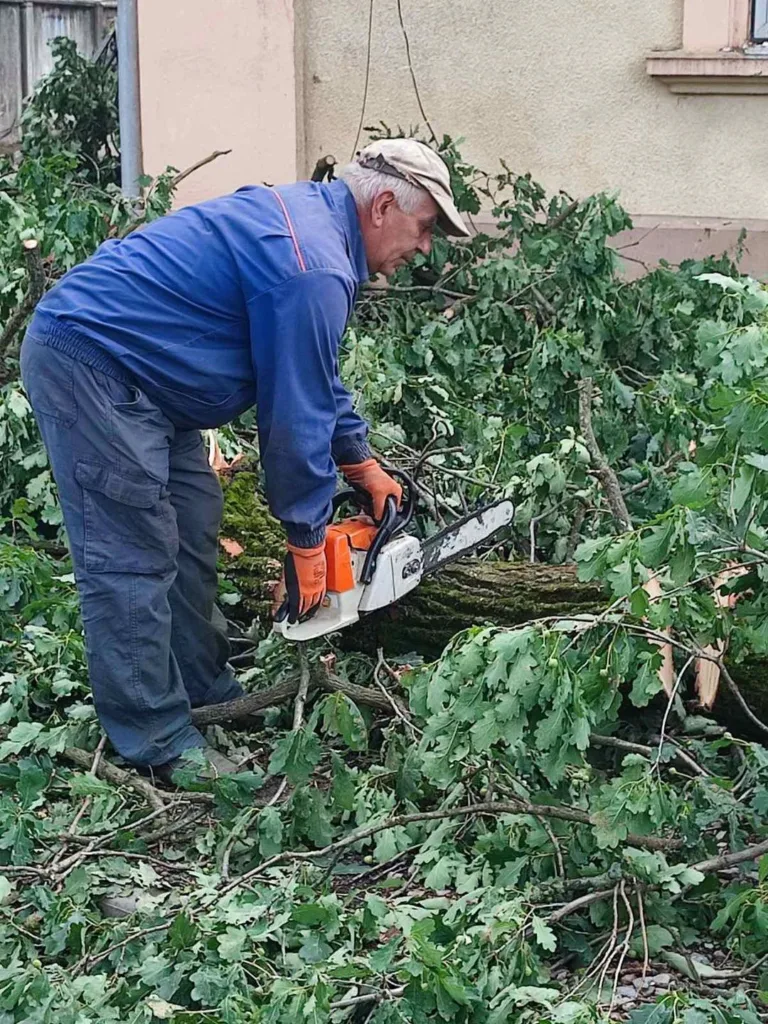 Чоловік ріже дерево бензопилою серед гілок